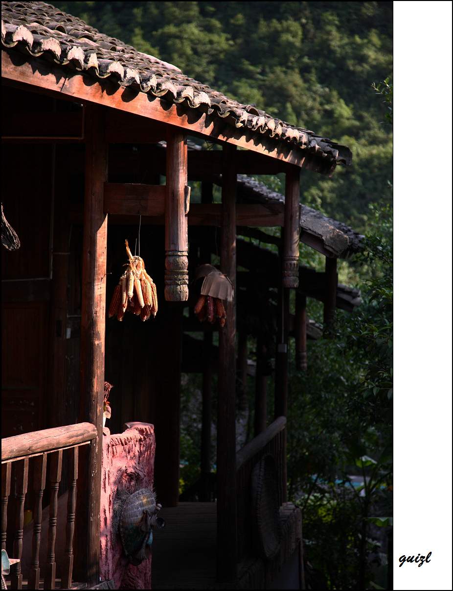 DPP_0016.jpg