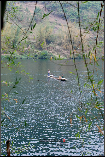 DSC_0733.jpg