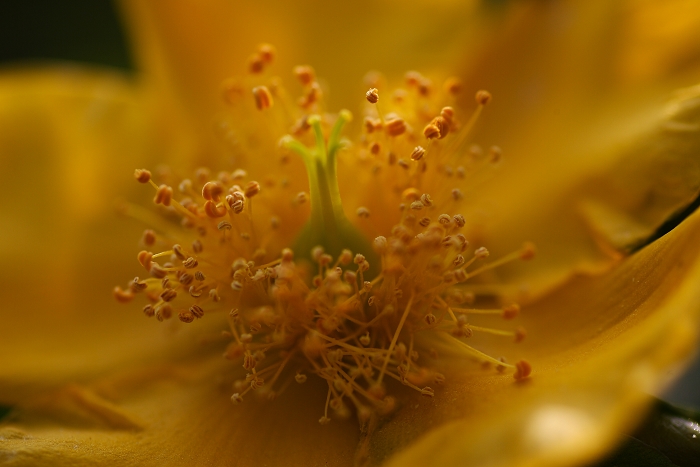 KI4R5476a.jpg