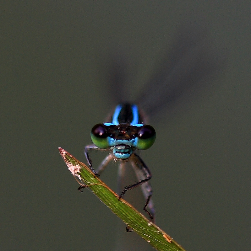 DPP_0016.JPG