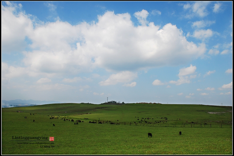 DSC_0891.JPG