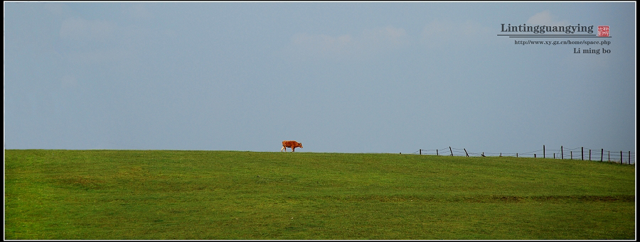 DSC_0909TT.jpg