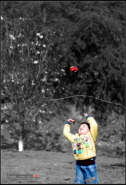 DSC_0355TTT.jpg