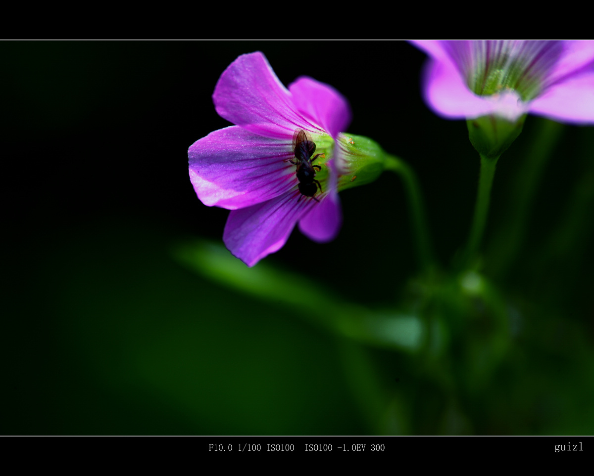 IMG_0667.jpg