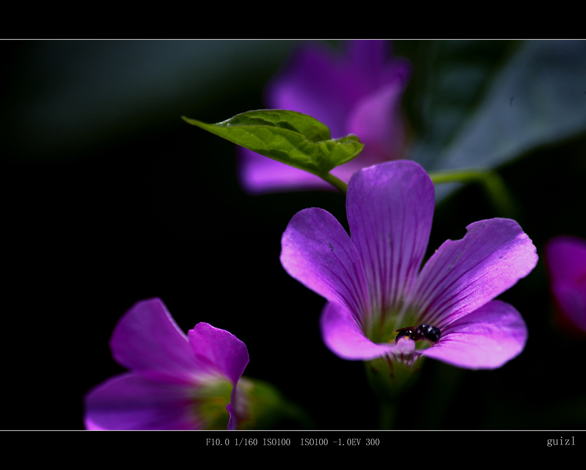 IMG_0670.jpg