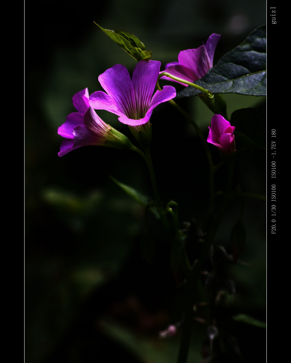 IMG_0683.jpg