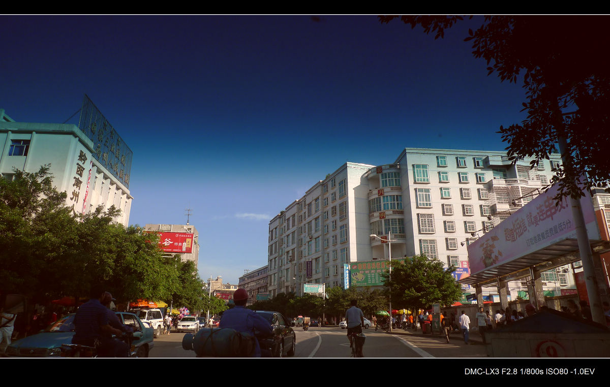 P1000244.jpg