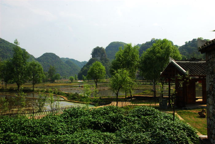 BBB_3532.jpg