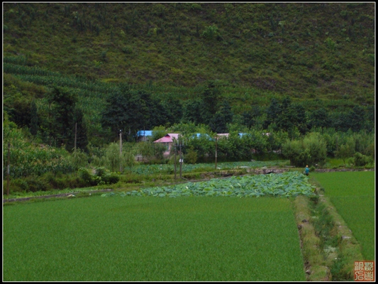 P1010280.jpg