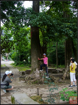 P1010434.jpg