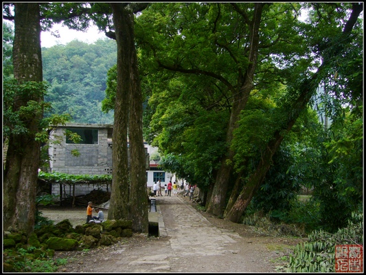 P1010441.jpg