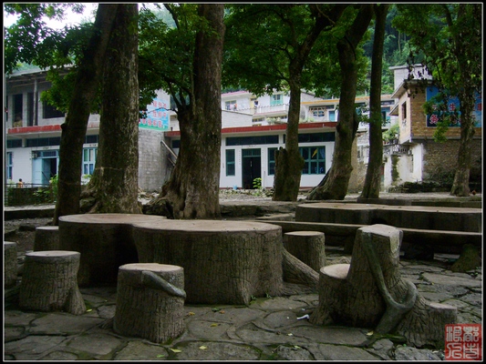 P1010471.jpg