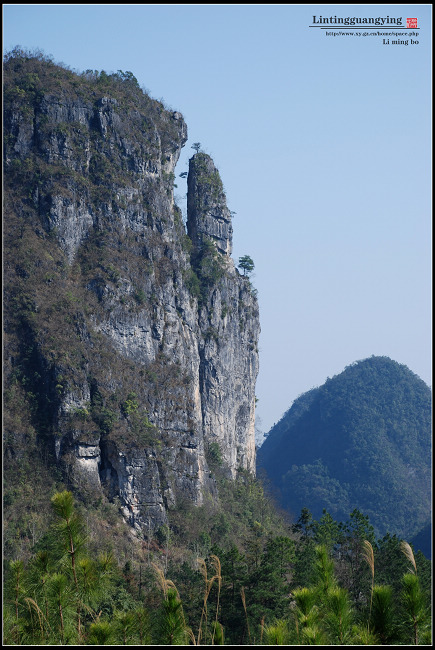 DSC_0421.JPG