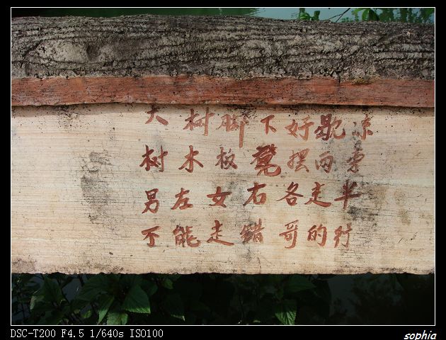 DSC07577.jpg