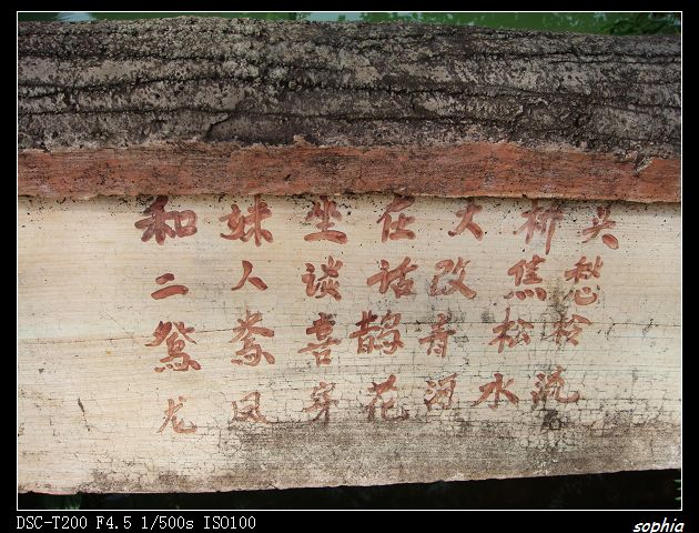 DSC07578.jpg