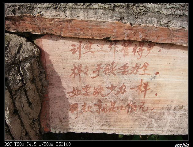 DSC07579.jpg