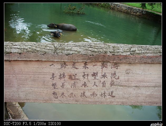 DSC07635.jpg
