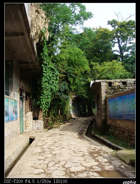 DSC07585.jpg