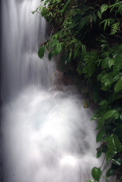 DSCF0451.jpg