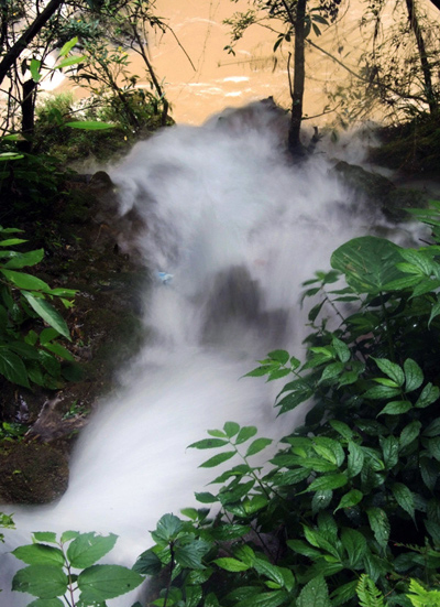 DSCF0452.jpg