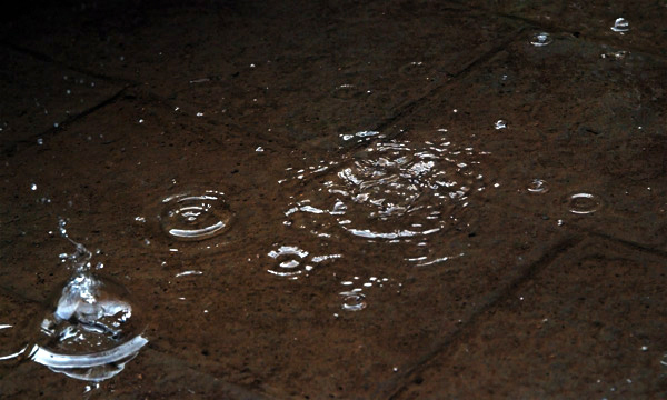DSCF0402.jpg
