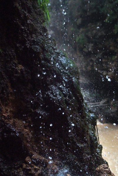 DSCF0525.jpg