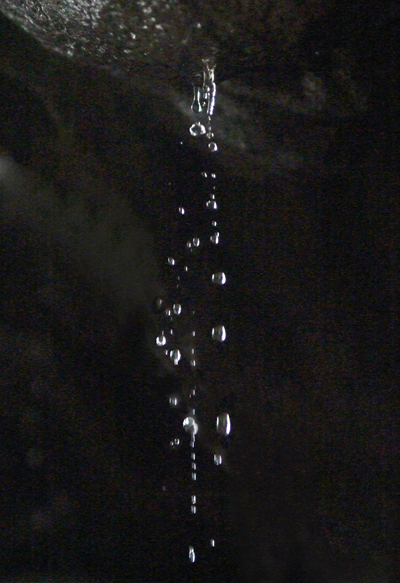 DSCF0494.jpg
