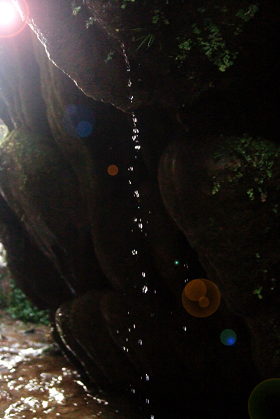 DSCF0506.jpg