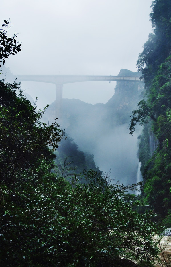 DSCF0915.jpg