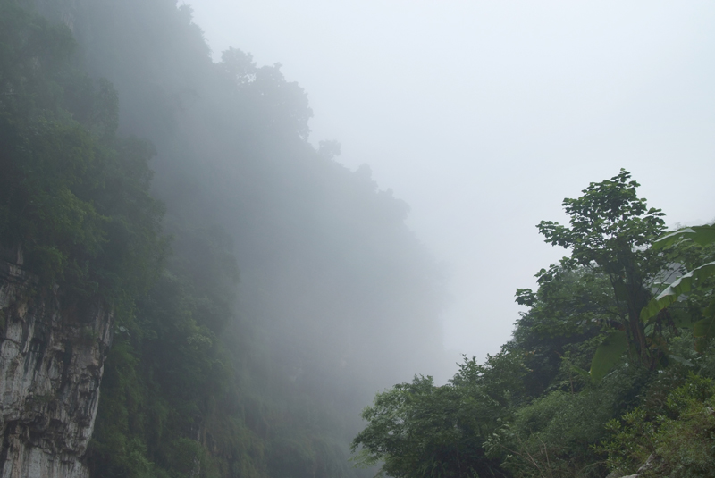 DSCF0955.jpg