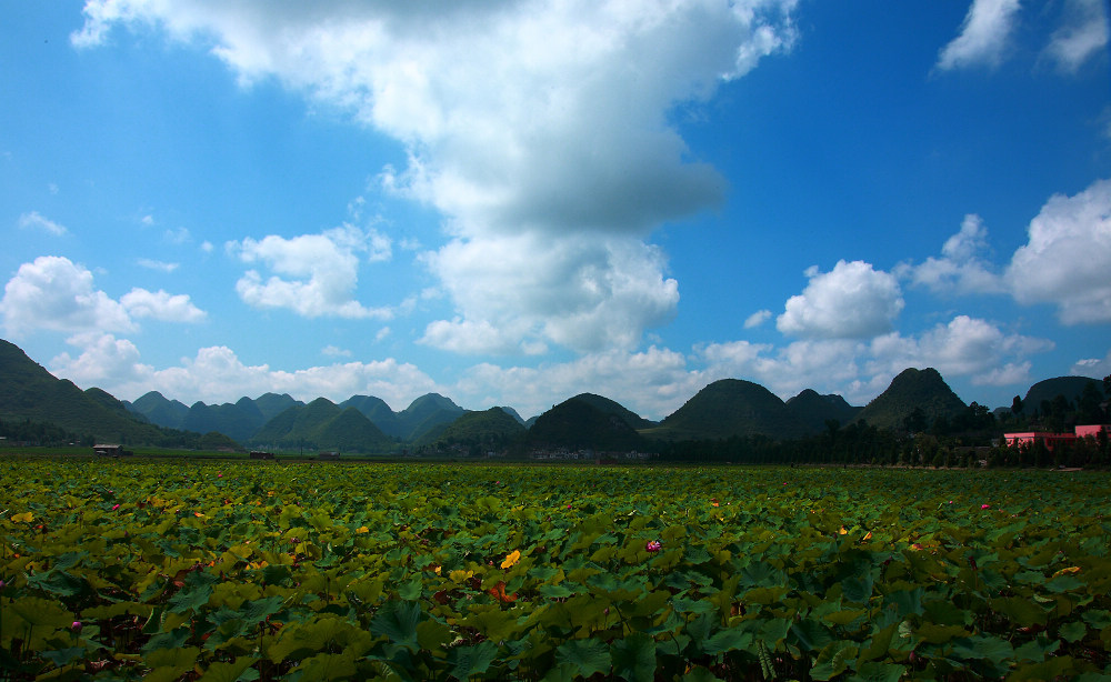 DPP_0009.JPG