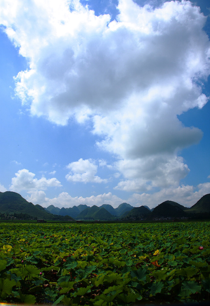 DPP_0011.JPG