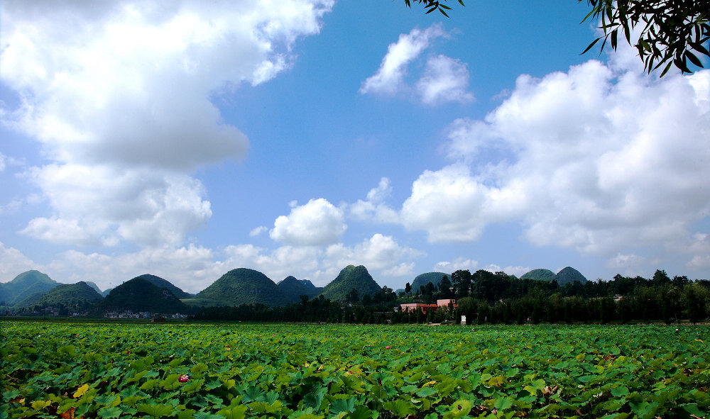 DPP_0010.JPG