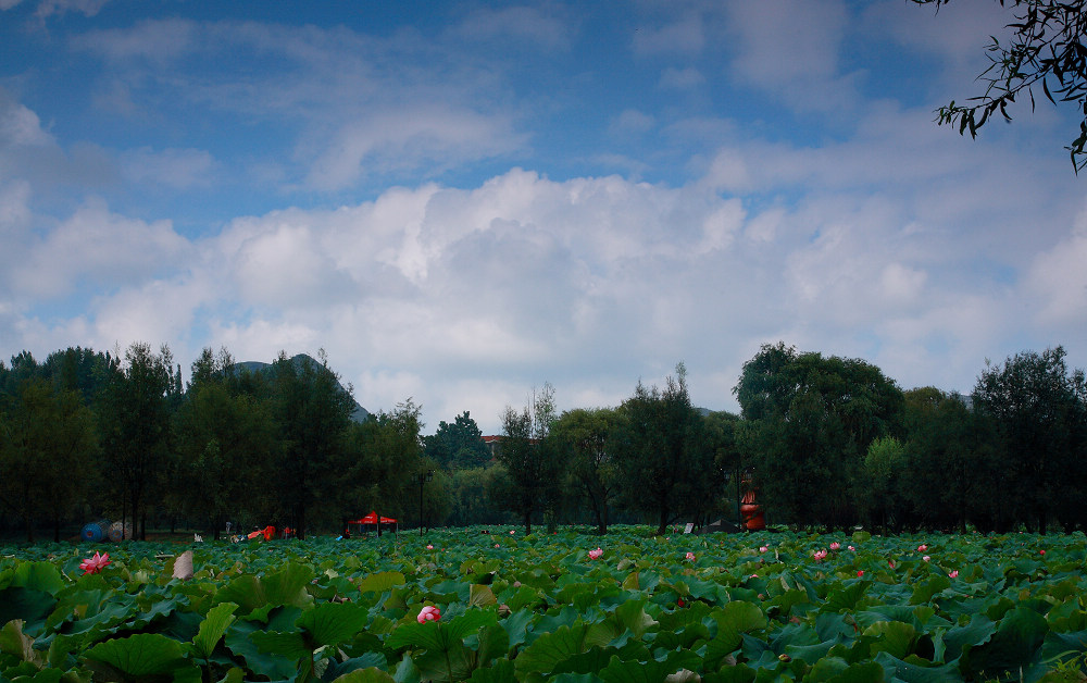 DPP_0038.JPG