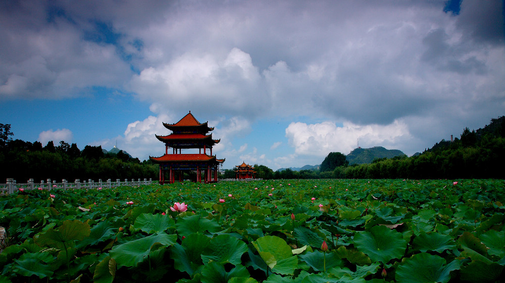 DPP_0053.JPG