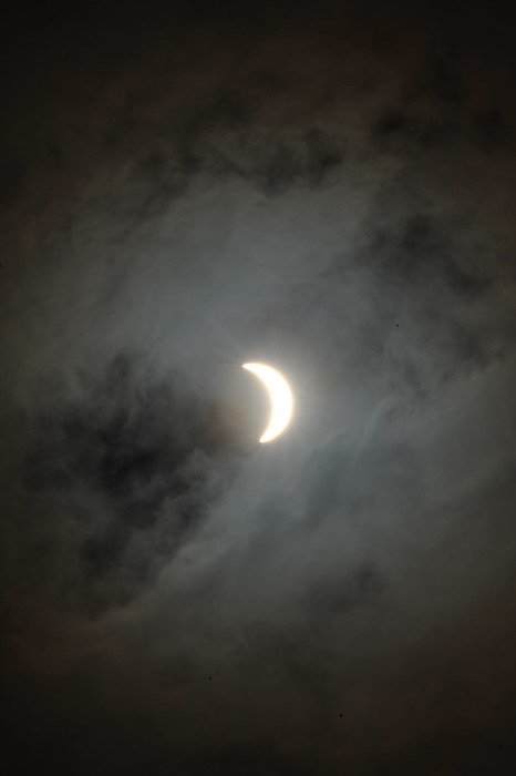 DSC_7929.jpg