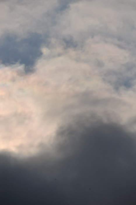 DSC_7719.jpg