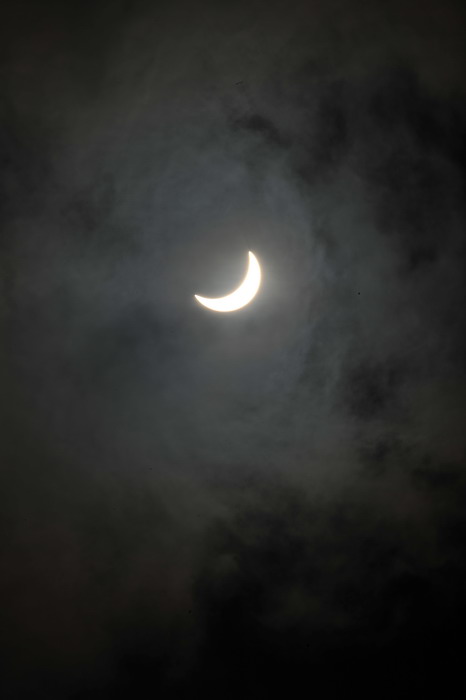 DSC_7803.jpg