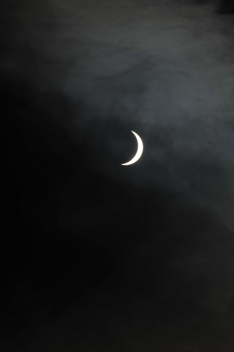 DSC_7871.jpg