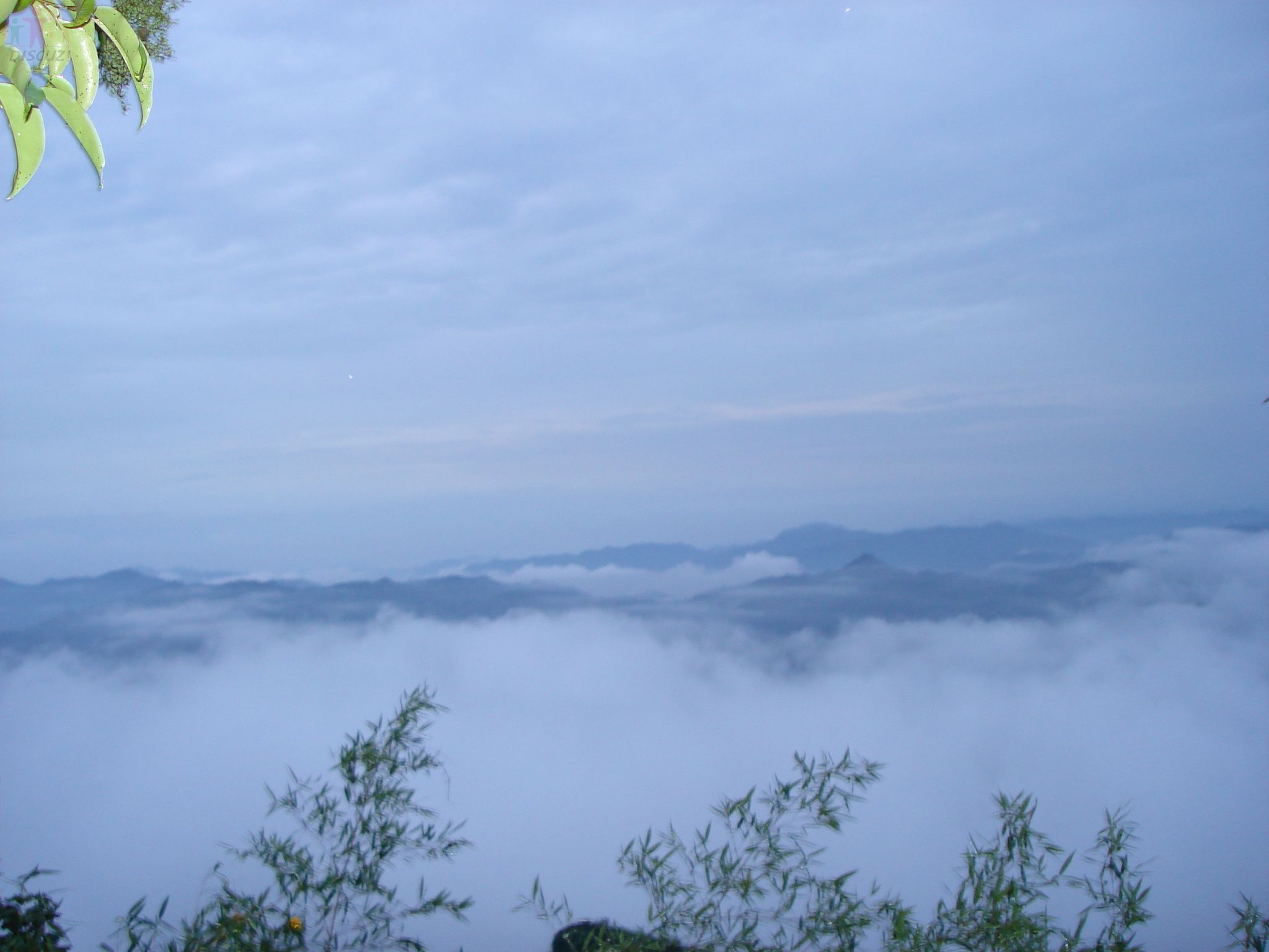 DSC03428.JPG