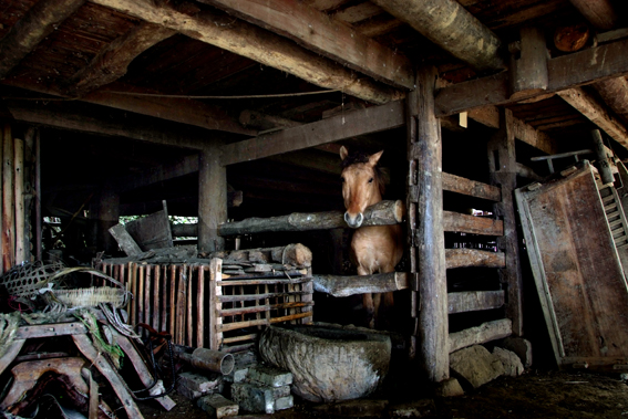 DSCF3437.jpg
