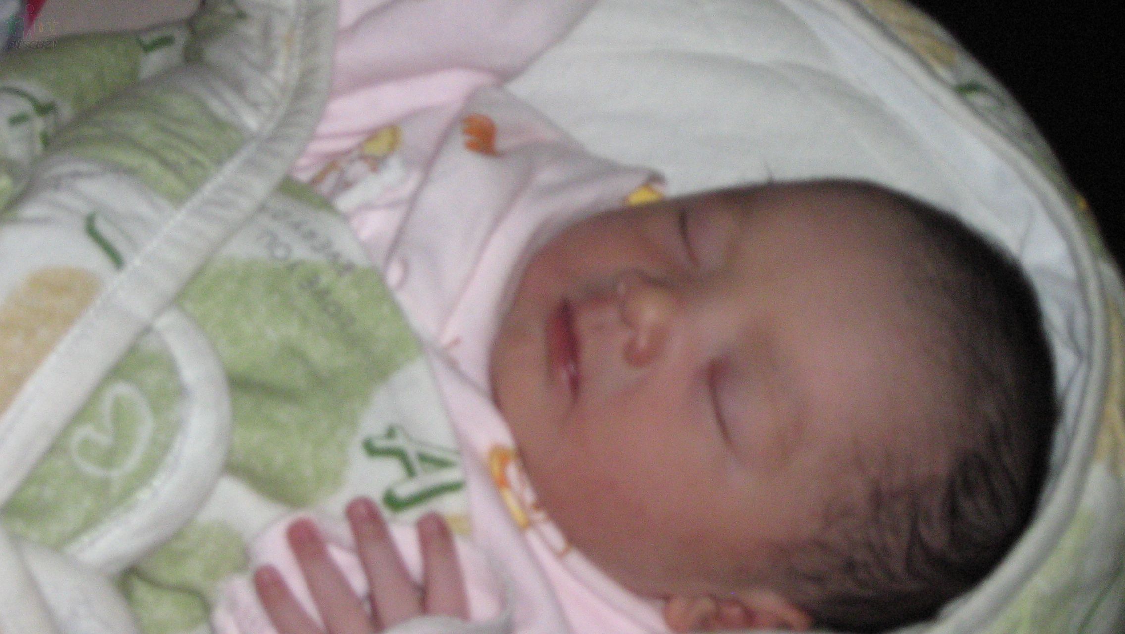 Ƭ 092.jpg
