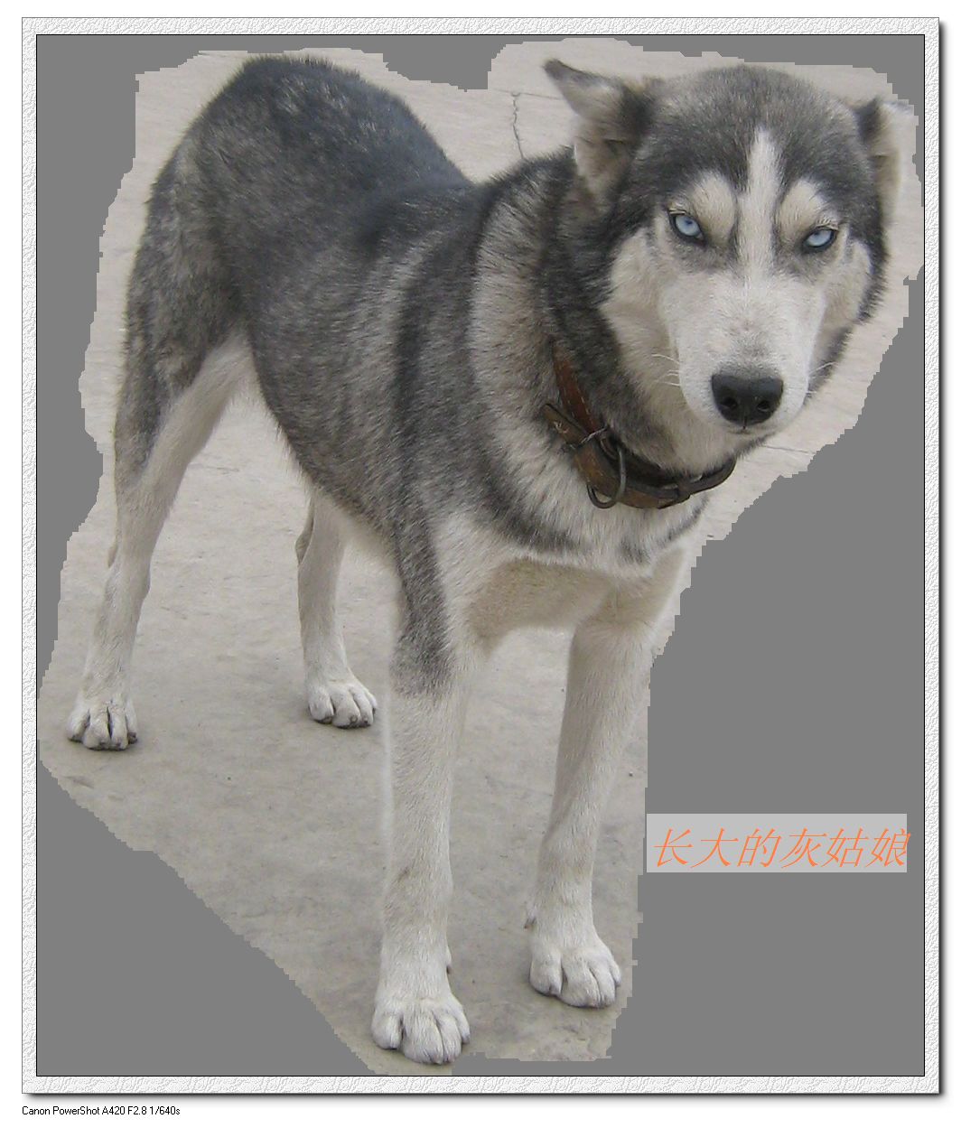 gou 018.jpg
