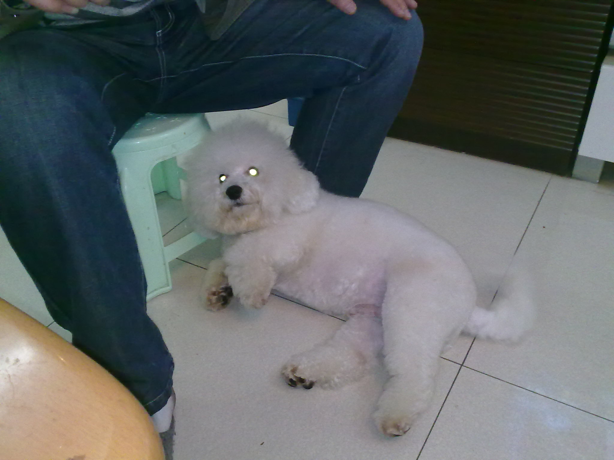 20091126016.jpg