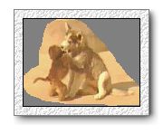 IMG0399A.jpg