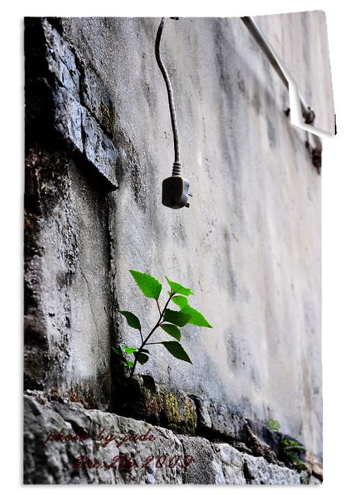 Ƭ 091.jpg