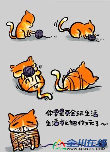 http_imgloadCATTKC1Q.jpg