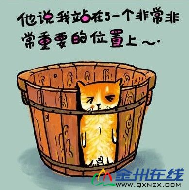 http_imgloadCAF2GN69.jpg