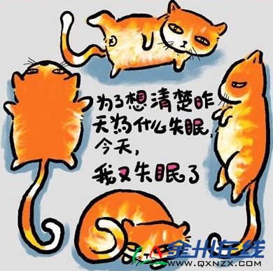 http_imgloadCALKDLU8.jpg