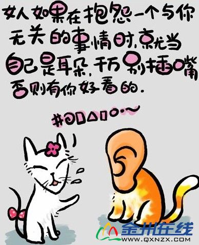 http_imgloadCAPO33D6.jpg